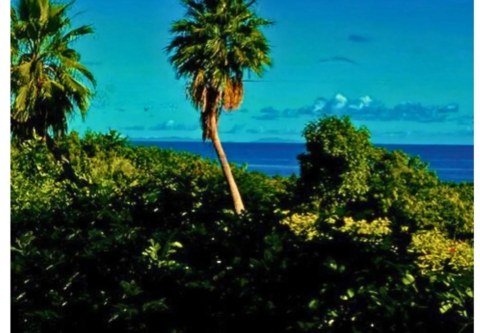 Arawak Bay: The Inn At Salt River La Grande Princesse